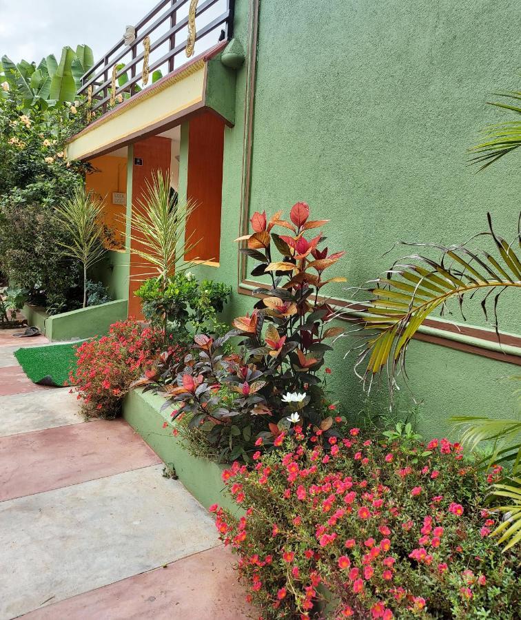 Banana Farm House Hampi Buitenkant foto
