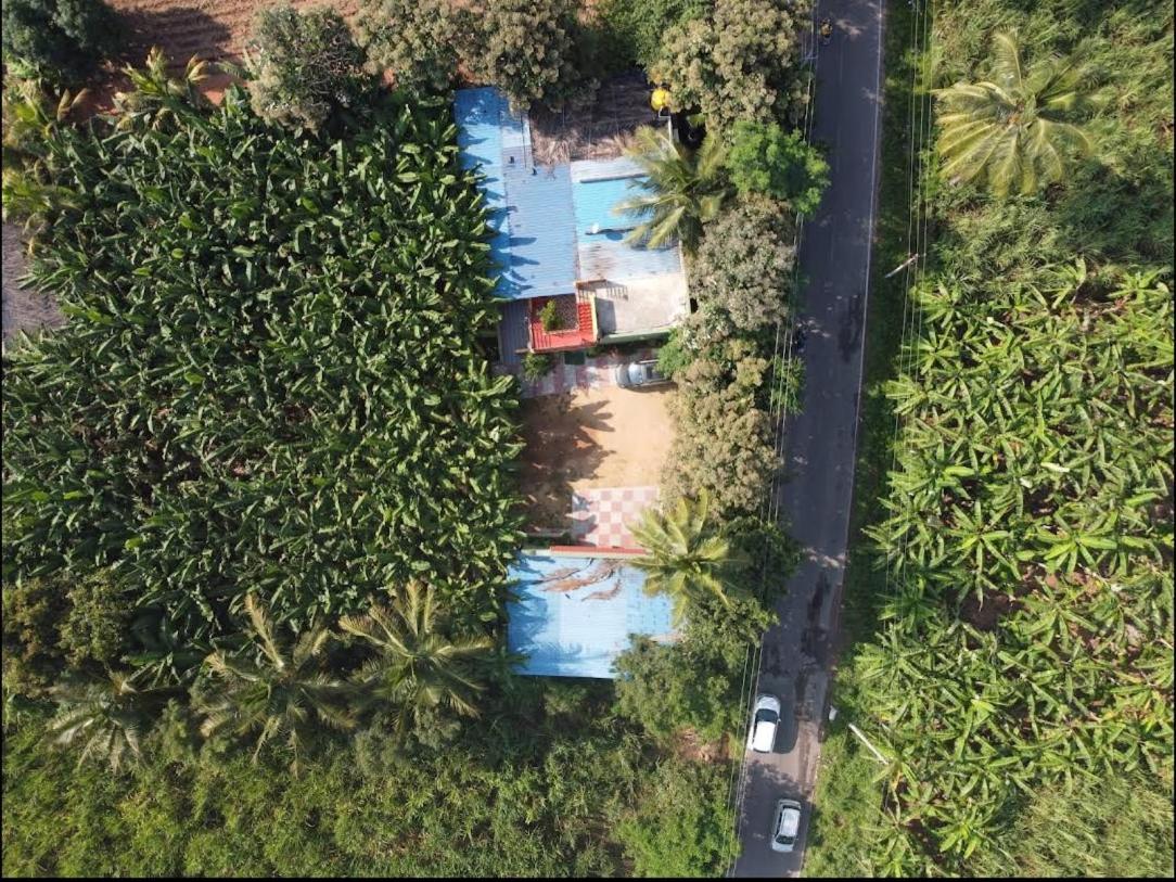 Banana Farm House Hampi Buitenkant foto