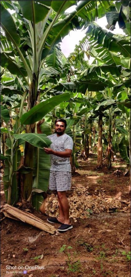 Banana Farm House Appartement Hampi Buitenkant foto